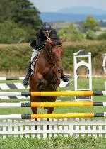 Kildysart-Show-20180804-062 image