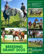 Hsi Funding advert 2025
