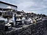 cups