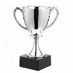 Trophy Cup